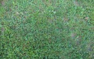 FRANCHEVELLE S'IMPOSE...