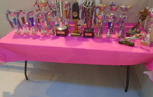 TOURNOI SENIORS F, CE SAMEDI...