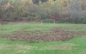 PAS DE CONFINEMENT POUR LES SANGLIERS...