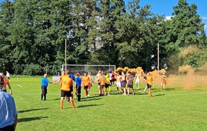 UN MATCH CRISPANT ET PARFOIS ELECTRIQUE...