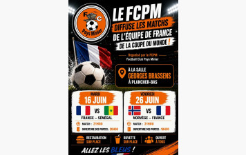 DIFFUSION DES MATCHES DE L'EQUIPE DE FRANCE...