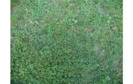 FRANCHEVELLE S'IMPOSE...