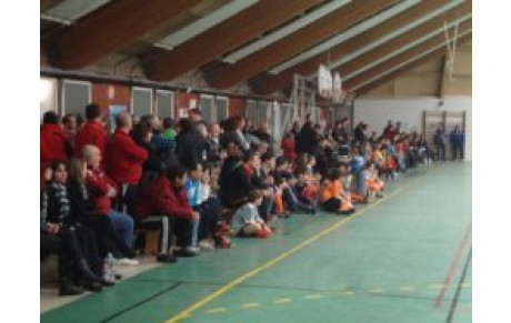 L'EDITION DE TOUS LES RECORDS...