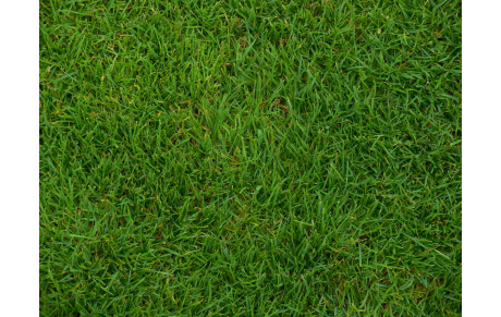 DATES DE REPRISE DES ENTRAÎNEMENTS...