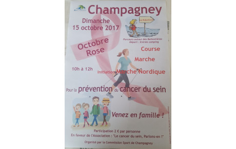OCTOBRE ROSE, JOURNEE DE PREVENTION CONTRE LE CANCER DU SEIN...