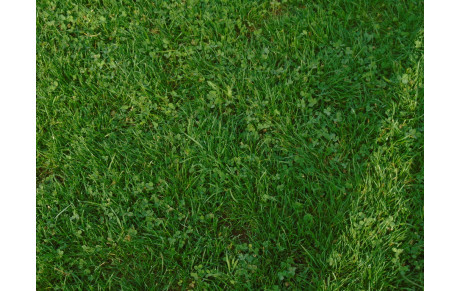 INFORMATIONS U13G...