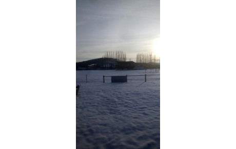 INFORMATIONS SENIORS G...