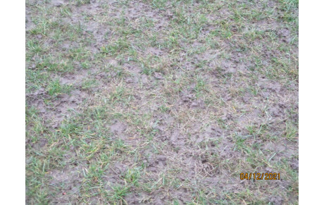 CHANGEMENT DE PROGRAMME...