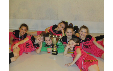 CHAMPIONNES DE HAUTE-SAÔNE DE FUTSAL...