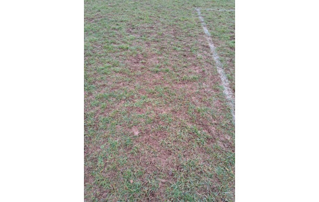 ELLES FONT DU BIEN ET DU MAL...