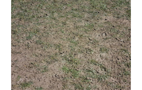 PLATEAU U7G / U8F ANNULE...