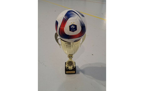 17ème EDITION DES TOURNOIS EN SALLE DU FC PAYS MINIER...