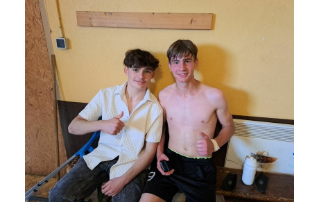 C'EST A RIEN N'Y COMPRENDRE...