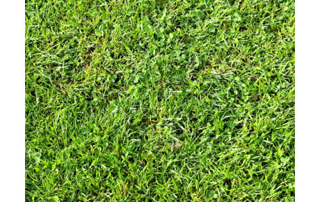 PREMIERE SORTIE DE LA SAISON 2024 / 2025...